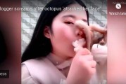 包含爱爱短视频30秒免费的词条