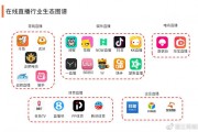 网络直播营销(网络直播营销管理办法试行自什么时间起施行?)
