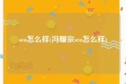seo怎么样(冯耀宗seo怎么样)