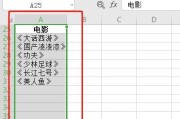 wps怎样做表格视频(wps表格怎么制作表格视频)