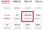 视频售卖(在网上卖视频)