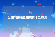 公众号黄v蓝v红v是什么意思
，加V是什么意思？