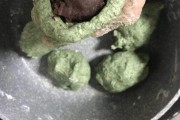 艾团的做法视频(艾团最简单的做法)
