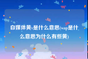 自媒体黄v是什么意思(wap是什么意思为什么有些黄)