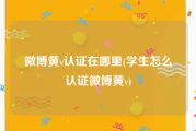 微博黄v认证在哪里(学生怎么认证微博黄v)
