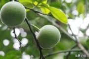 货源网
，做电商货源怎么找？