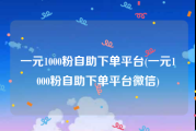 一元1000粉自助下单平台(一元1000粉自助下单平台微信)