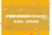 微博黄V有钱收吗
，马年让你马上有钱的创业投资项目，低投高收