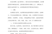 酒吧营销视频(酒吧营销视频段子)