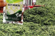袋装青贮制作技术视频(袋装青贮制作技术视频讲解)
