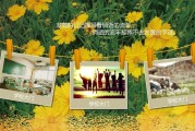 毕业班视频怎么做(毕业班视频怎么做合适)