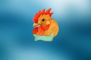 怎么加本地鸡头微信(怎么加本地鸡头微信贴吧)