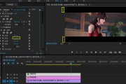 pr制作小视频(pr做小视频的流程)