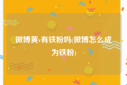 微博黄v有铁粉吗(微博怎么成为铁粉)