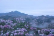 短视频唯美(短视频唯美清新)