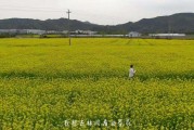 短视频拍风景(风景短视频制作)