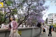 昆明短视频拍摄(昆明短视频拍摄工作室)