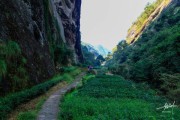 武夷山宣传视频(武夷山宣传视频下载)