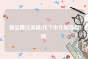 强品牌泛渠道(线下中介渠道品牌)