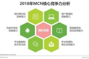 品牌视频营销(品牌视频营销作品)