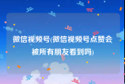 微信视频号(微信视频号点赞会被所有朋友看到吗)