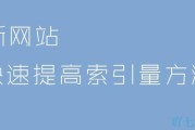 网站快速提高排名(怎么快速提高店铺排名)