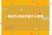 转运仓(转运仓是什么意思)