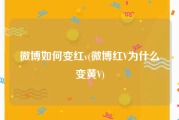 微博如何变红v(微博红V为什么变黄V)