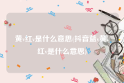 黄v红v是什么意思(抖音蓝v黄v红v是什么意思)