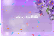 videvo(videvo翻译)
