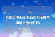 文新信阳毛尖(文新信阳毛尖集团是上市公司吗)