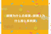 微博为什么会降黄v(微博上为什么那么多网黄)