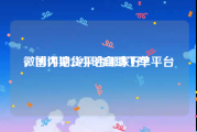 微博评论24小时自助下单平台
，国内期货平台哪家好？