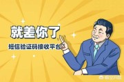 在线验证码短信平台
，2020最新短信验证码接收平台？