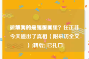 微博实时号哪里买
，华为的底气在哪里？任正非今天道出了真相（附采访全文）(转载)[已扎口]