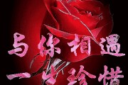 一元涨一百粉丝
，头条一天涨一百粉是怎样的体验？