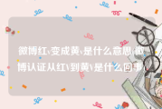 微博红v变成黄v是什么意思(微博认证从红V到黄V是什么回事)