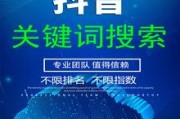 短视频引流营销(短视频引流营销案例)