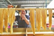 腐竹的制作过程视频(腐竹的制作过程视频播放)