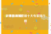 微博黄v和蓝v
，中国微博营销十大专家排行榜