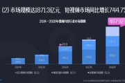 短视频用户人数(短视频用户人数统计)