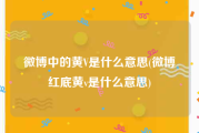 微博中的黄V是什么意思(微博红底黄v是什么意思)