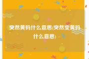 突然黄码什么意思(突然变黄码什么意思)