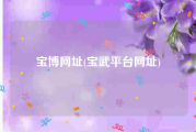 宝博网址(宝武平台网址)