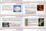 禁毒宣传视频模板(禁毒宣传视频模板下载)