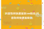 抖音如何快速涨到1000粉丝(抖音如何快速涨级别)