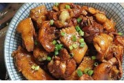红烧鸭做法视频(红烧鸭的做法与配方视频教程)