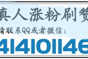 关于微博一元1000粉自助下单平台的信息