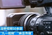 麻豆视频短视频(麻豆视频免费全集)