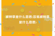 被种草是什么意思(容易被种草是什么意思)